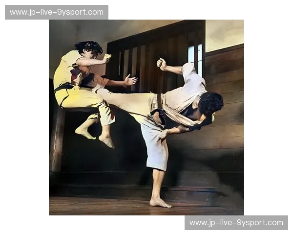 空手道篮板——用武术的智慧，征服每一次篮板